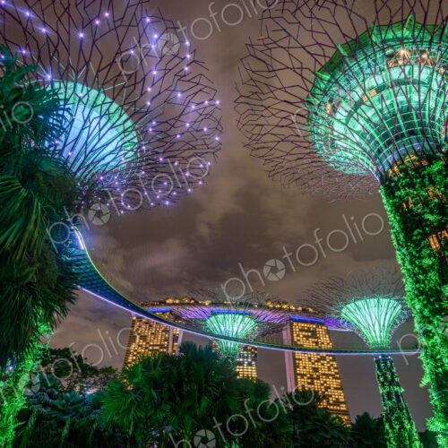 Gardens by the Bay illuminated at night, Singapore. Gardens by the Bay illuminated at night, Singapore.