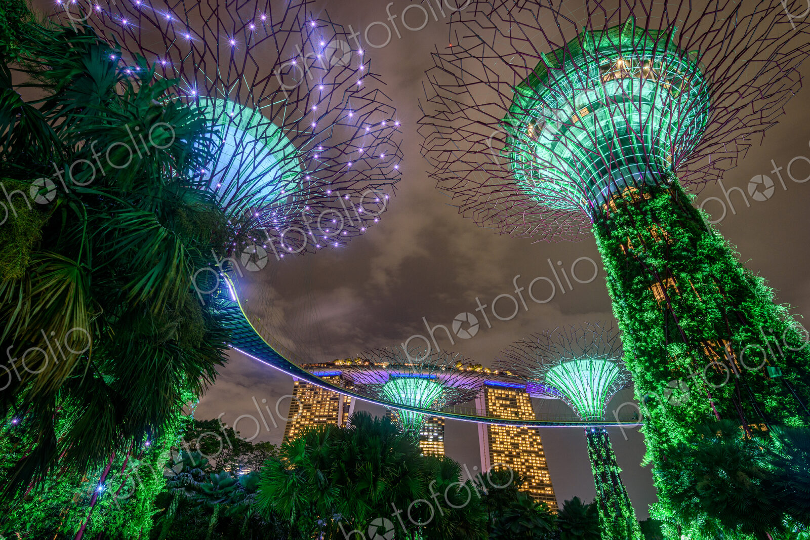 Gardens by the Bay illuminated at night, Singapore.