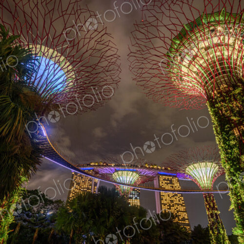 Gardens by the Bay illuminated at night, Singapore. Gardens by the Bay illuminated at night, Singapore.