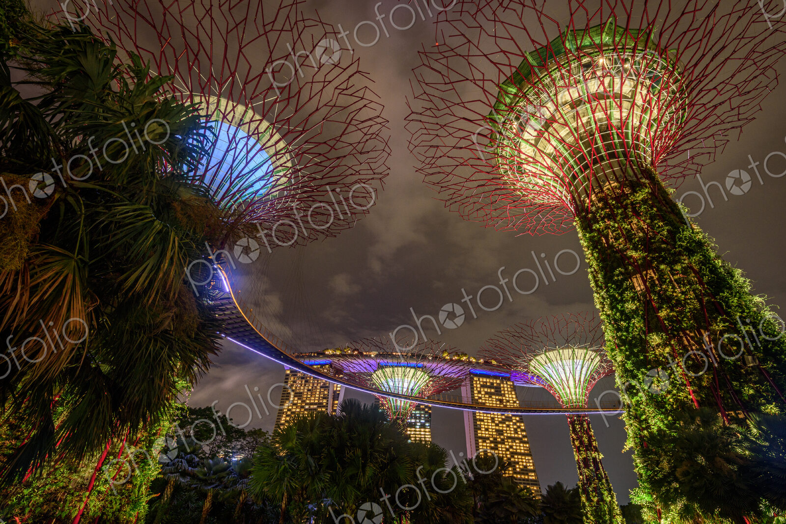 Gardens by the Bay illuminated at night, Singapore.