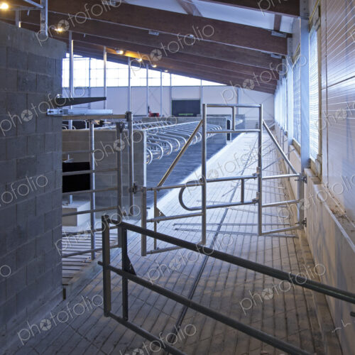 Gated Railing in a Cowshed Gated Railing in a Cowshed