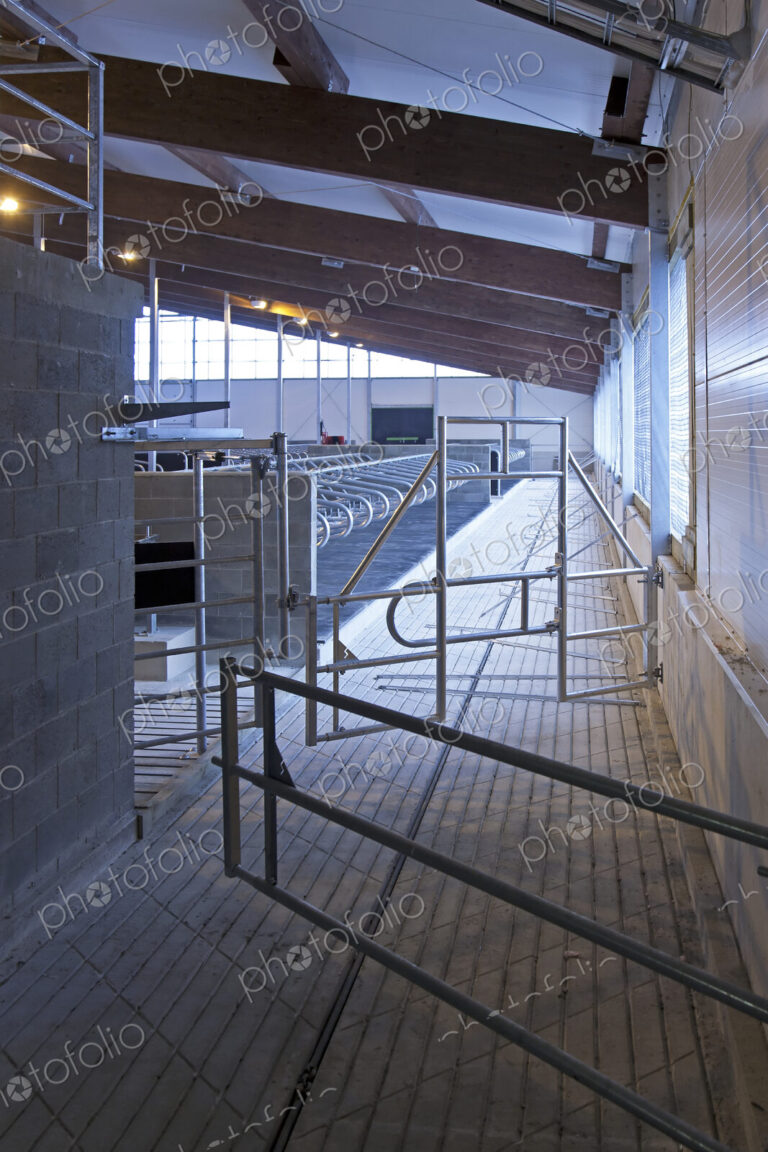 Gated Railing in a Cowshed