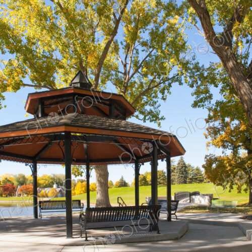 Gazebo Under Trees Gazebo Under Trees