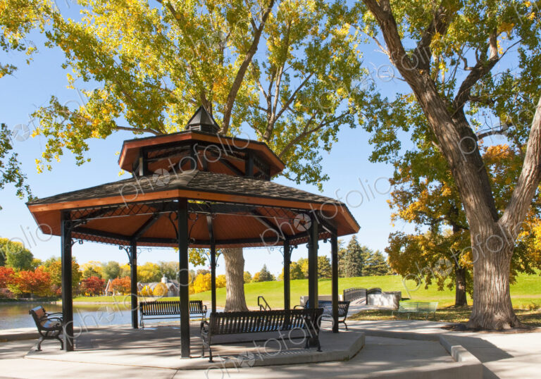 Gazebo Under Trees