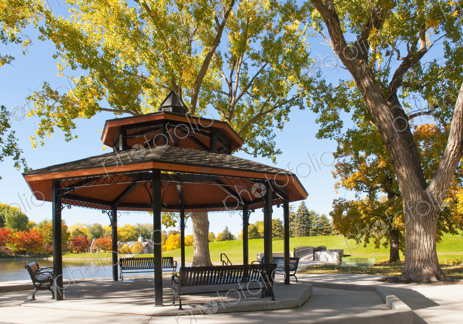Gazebo Under Trees