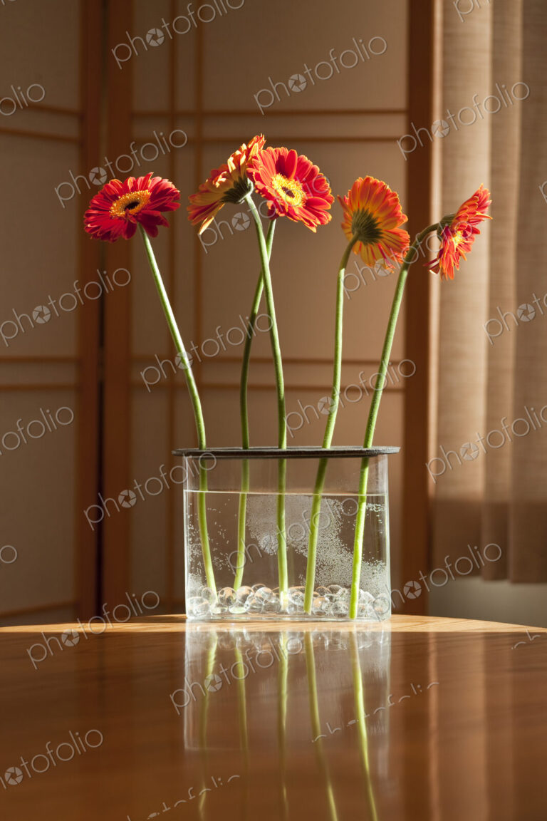 Gerbera Daisies on a Kitchen Table