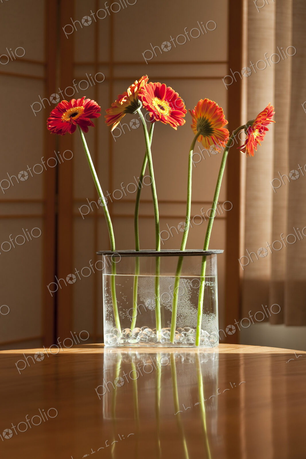 Gerbera Daisies on a Kitchen Table