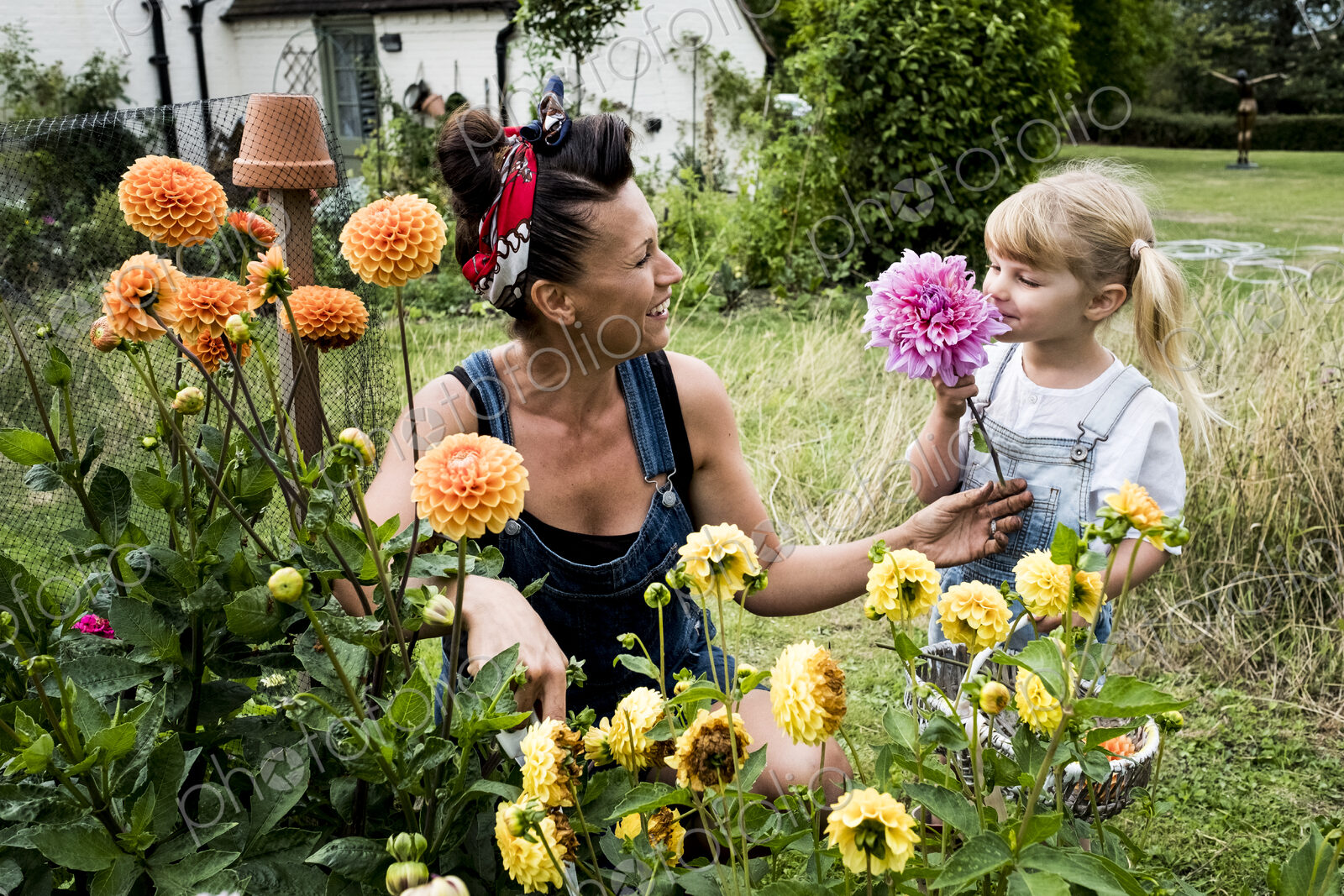 Girl and woman kneeling in a garden, picking pink and yellow Dahlias.