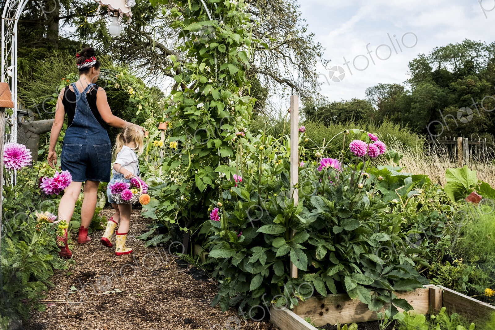 Girl and woman walking through a garden, carrying baskets with pink Dahlias.