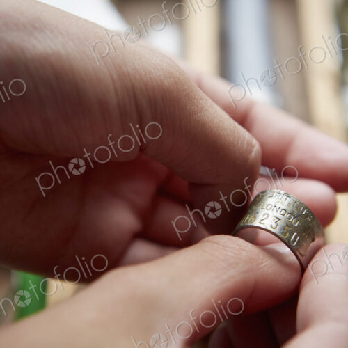 Girl holding a bird marker tag or ring. Girl holding a bird marker tag or ring.