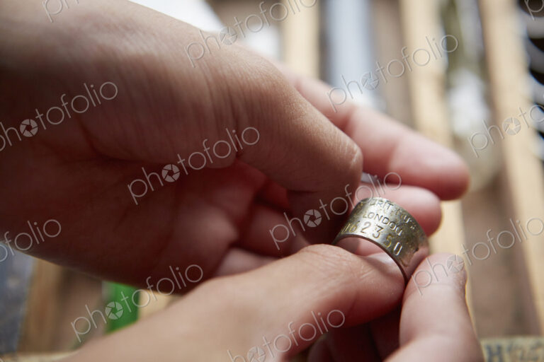 Girl holding a bird marker tag or ring.