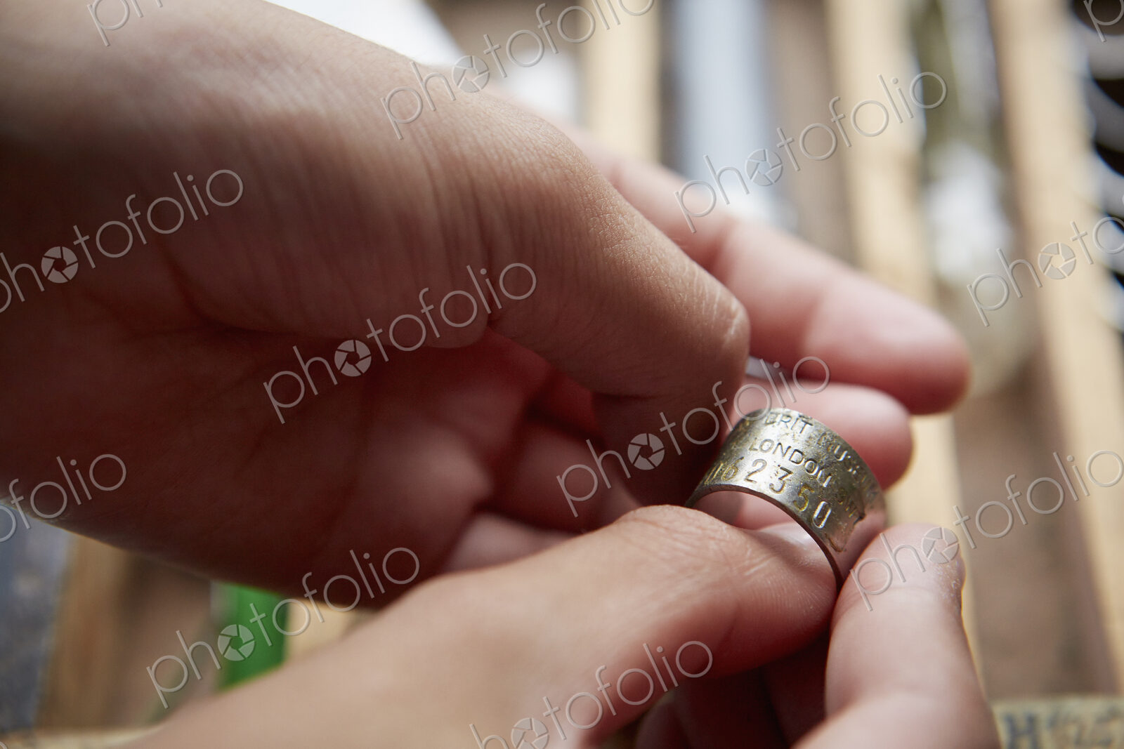 Girl holding a bird marker tag or ring.