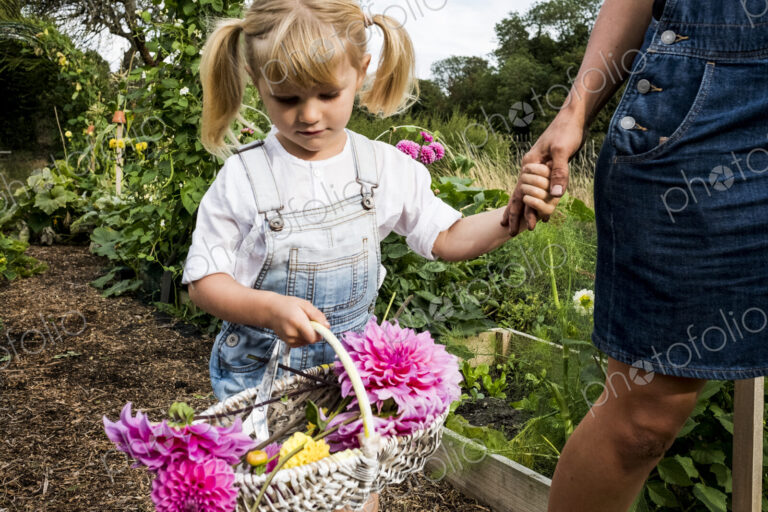 Girl holding basket with pink Dahlias walking hand in hand with a woman through a garden.