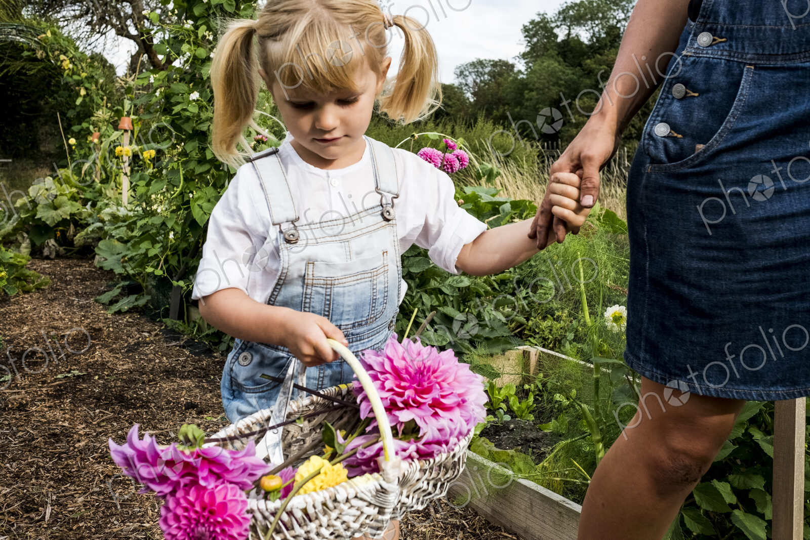 Girl holding basket with pink Dahlias walking hand in hand with a woman through a garden.