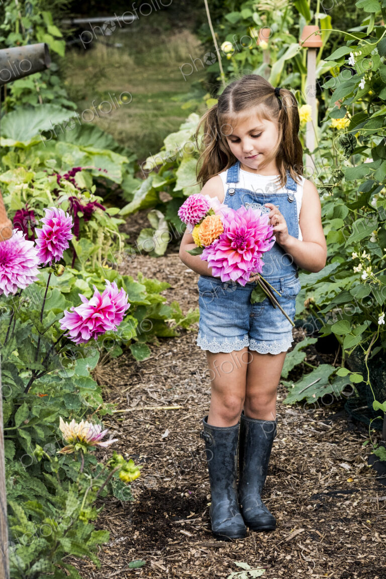 Girl wearing denim dungarees standing in a garden, holding pink Dahlias.