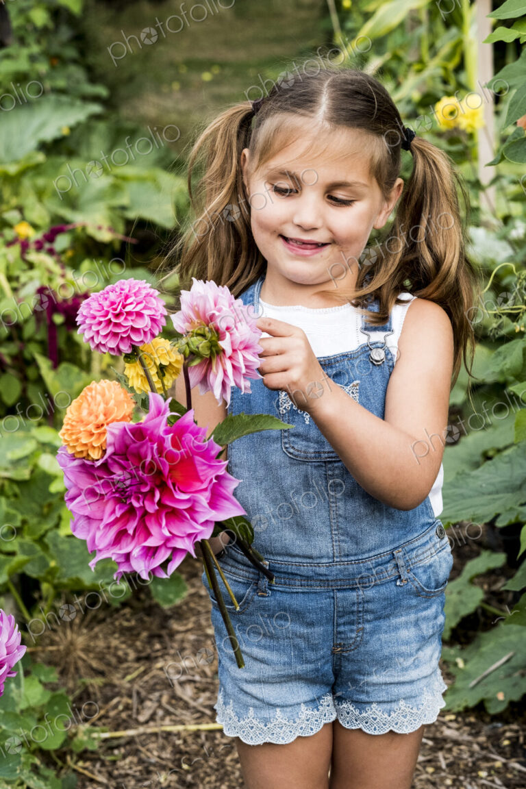 Girl wearing denim dungarees standing in a garden, holding pink Dahlias.