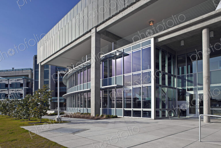 Glass Facade of a Modern Office Building