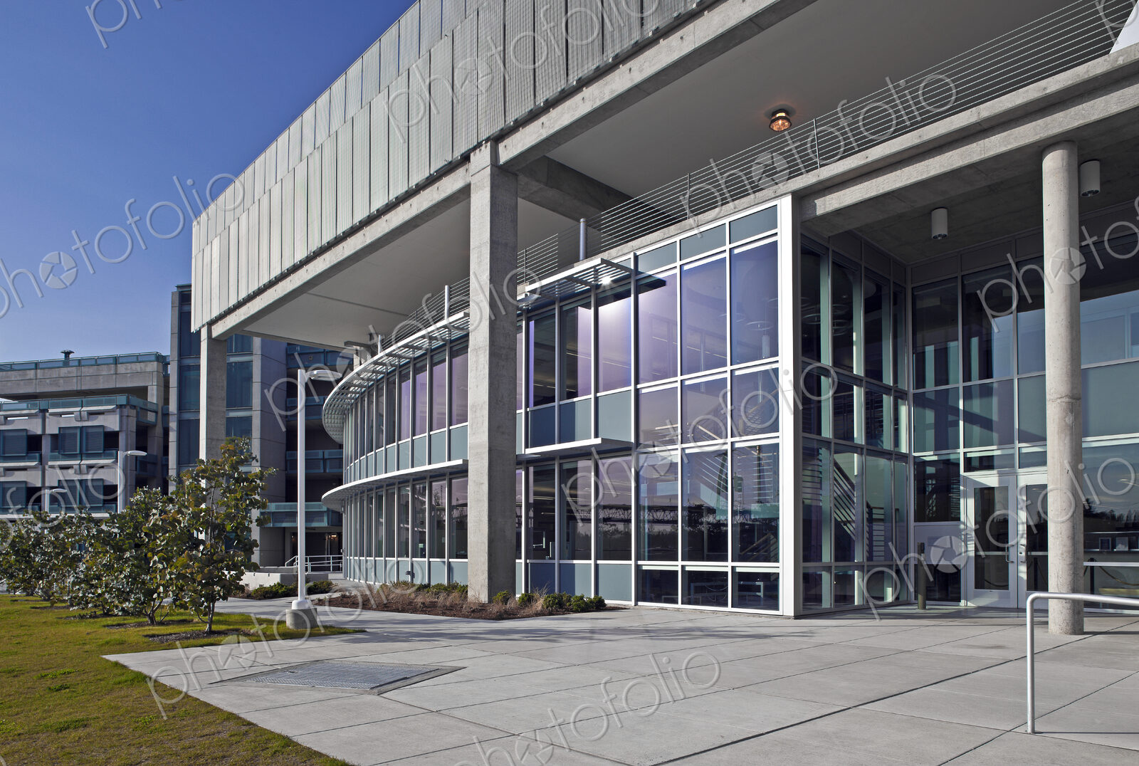 Glass Facade of a Modern Office Building