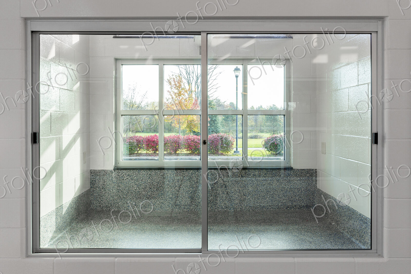 Glass doors to holding area in animal shelter