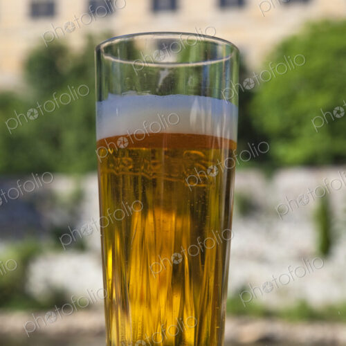 Glass of Beer Glass of Beer
