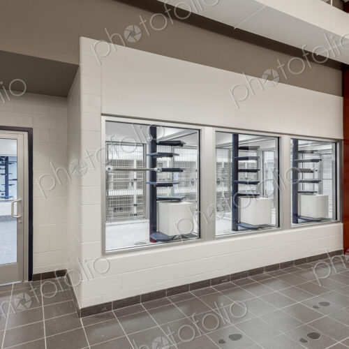 Glass viewing area windows of animal shelter