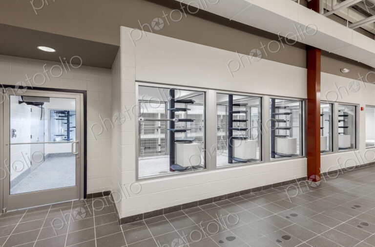 Glass viewing area windows of animal shelter