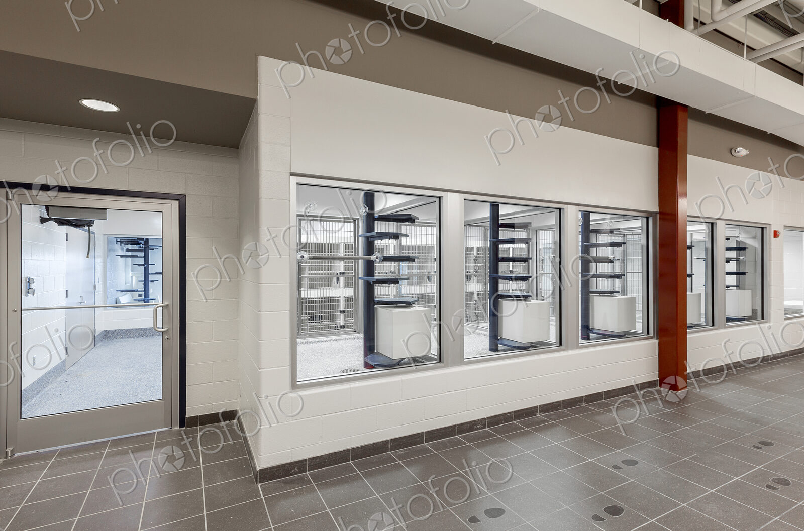 Glass viewing area windows of animal shelter