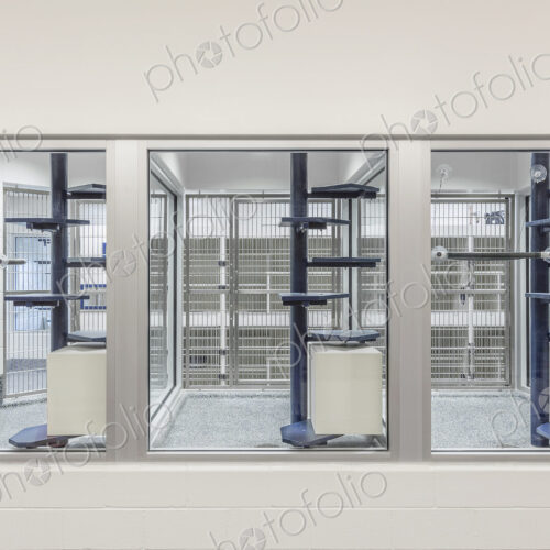 Glass viewing area windows of empty animal shelter