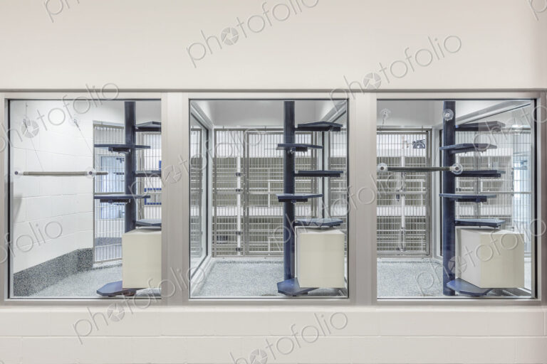 Glass viewing area windows of empty animal shelter