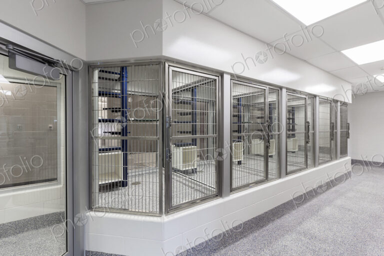 Glass viewing area windows of empty animal shelter