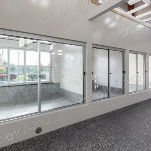 Glass windows to holding areas in animal shelter Glass windows to holding areas in animal shelter