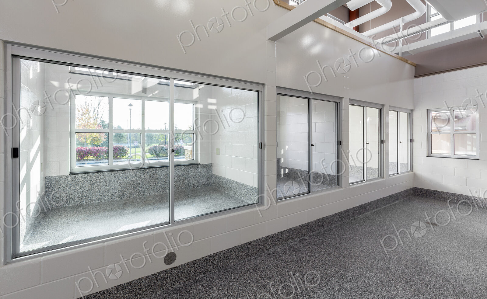 Glass windows to holding areas in animal shelter