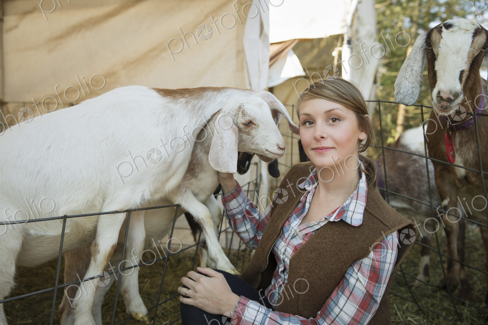 Goats in a pen leaning over the fences at a farm. A young woman tickling the chin of a…