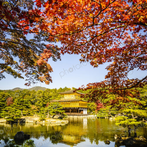 Gold Temple reflecting in still lake, Kyoto, Japan Gold Temple reflecting in still lake, Kyoto, Japan
