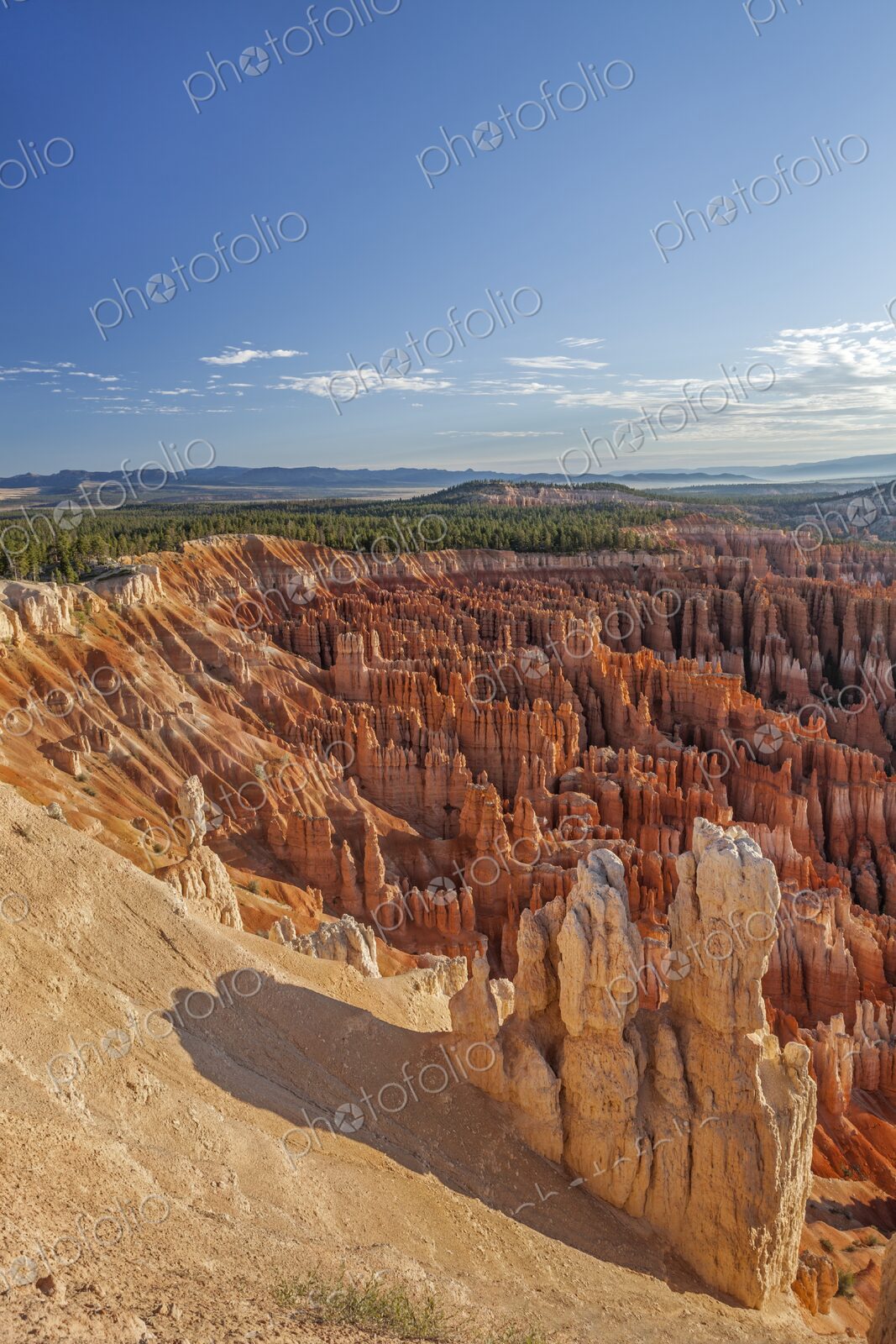 Golden hoodoos rise from Bryce Canyons rim, with a vast amphitheater of red rock…