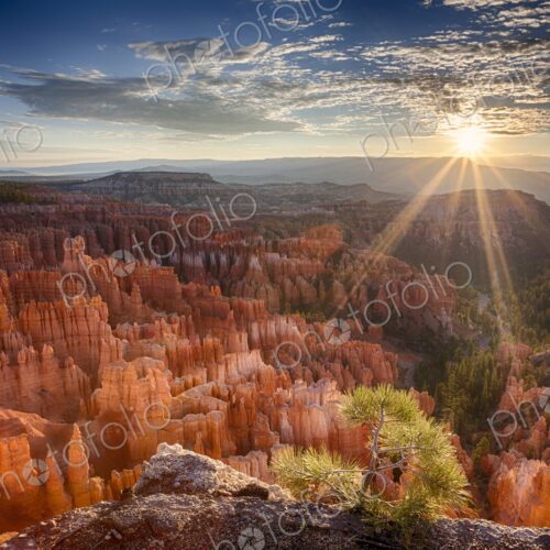 Golden sunbeams pierce the horizon at Bryce Canyon, casting dramatic light over the…