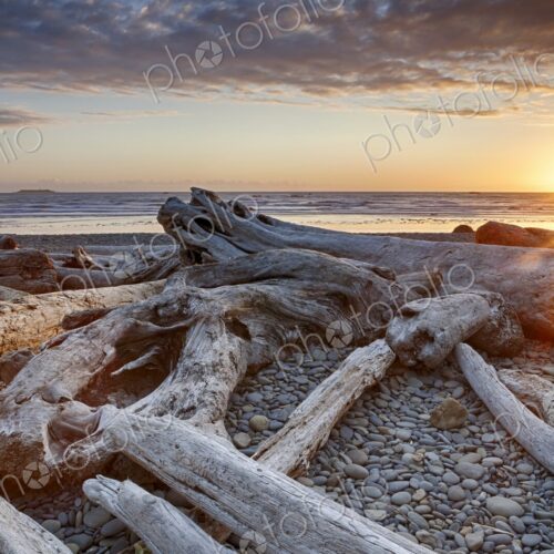 Golden sunset over driftwood-strewn Ruby Beach, Olympic Peninsula, Washington, with…