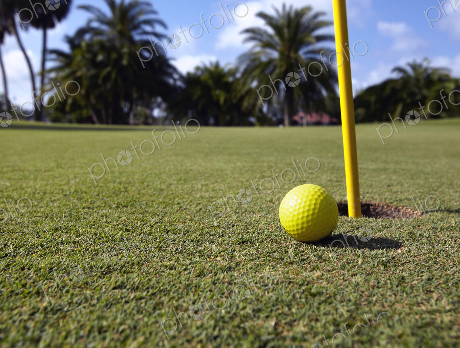 Golf Ball Lying Next to the Hole