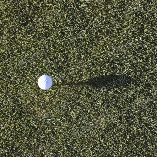 Golf ball on tee on golf green. Golf ball on tee on golf green.