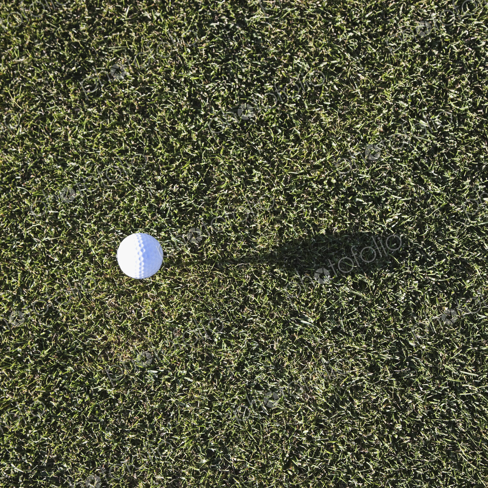 Golf ball on tee on golf green.