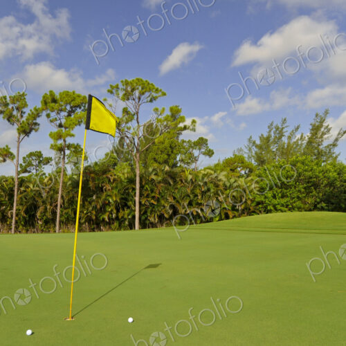 Golf balls by hole on putting green