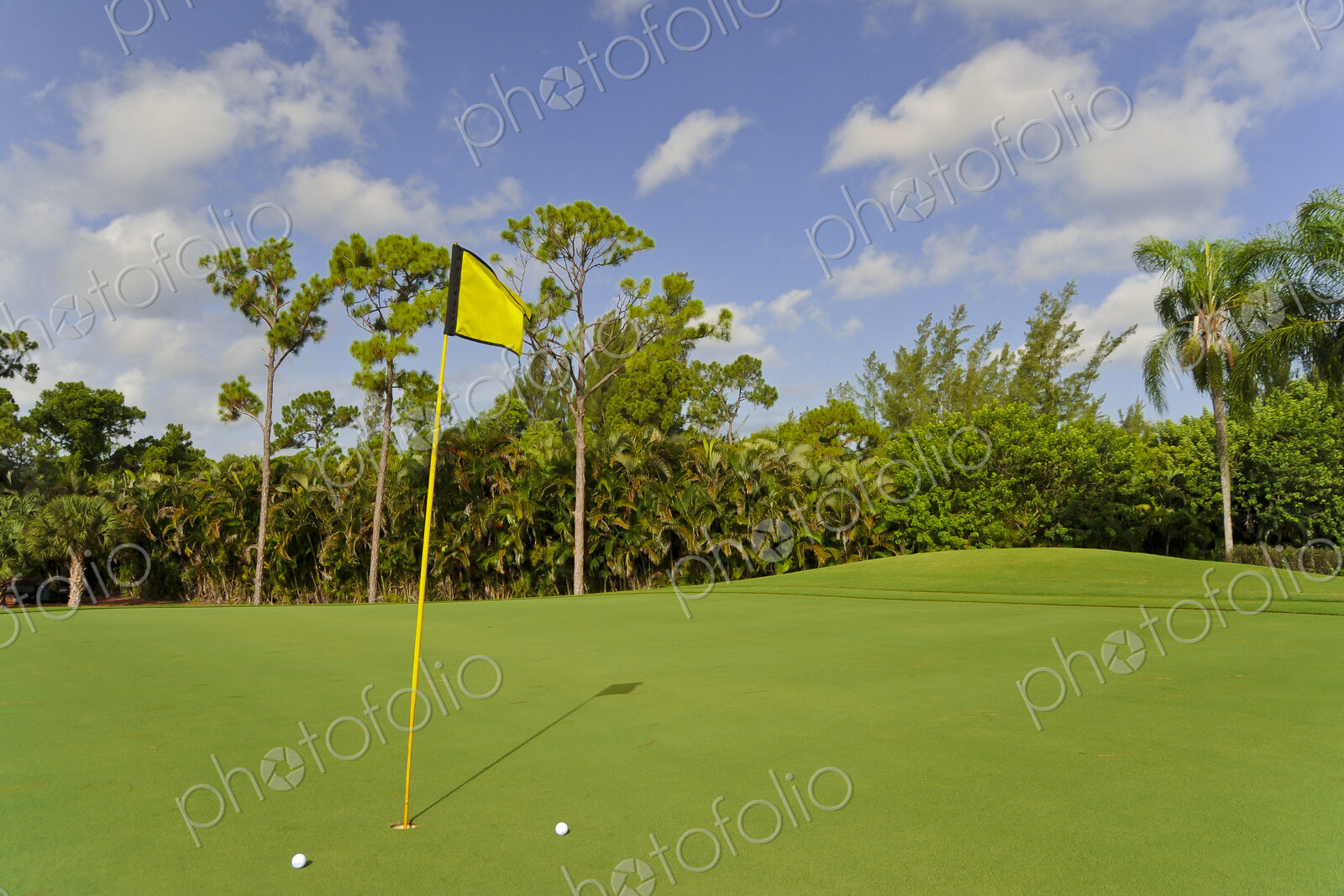 Golf balls by hole on putting green