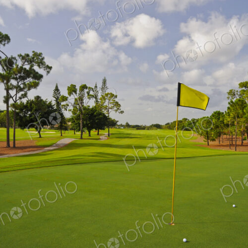 Golf balls by hole on putting green