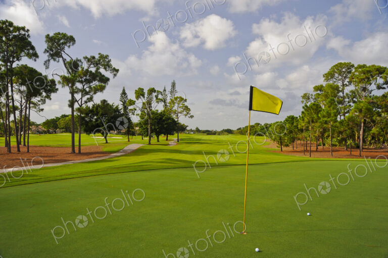 Golf balls by hole on putting green