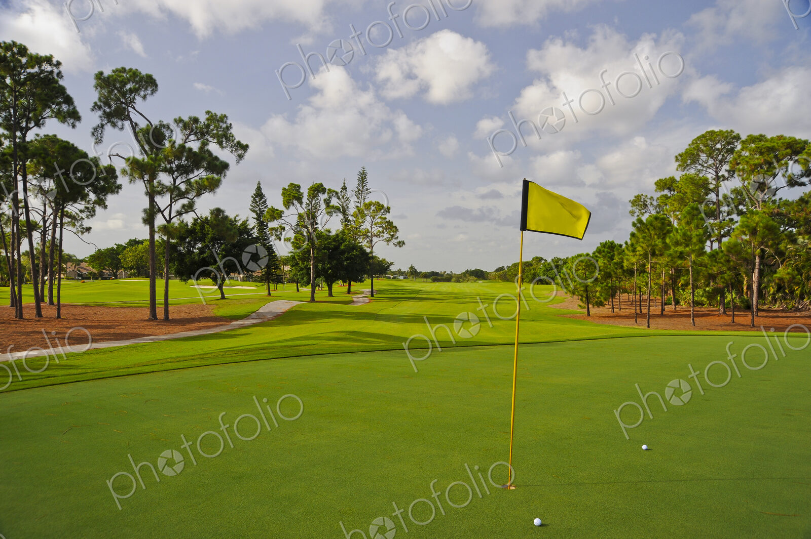 Golf balls by hole on putting green