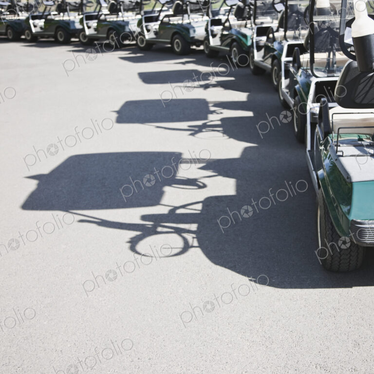 Golf buggies parked in a crescent.