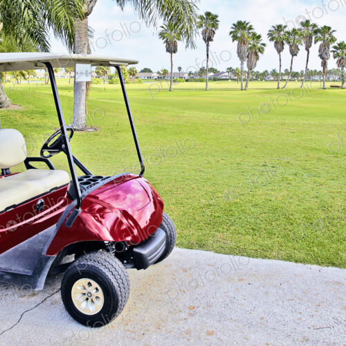 Golf buggy with palm trees on golf course.