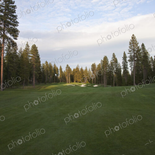 Golf course with bunker and green and trees. Golf course with bunker and green and trees.