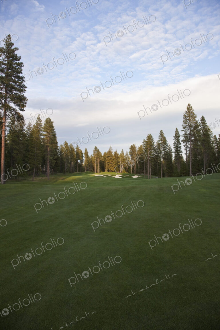 Golf course with bunker and green and trees.