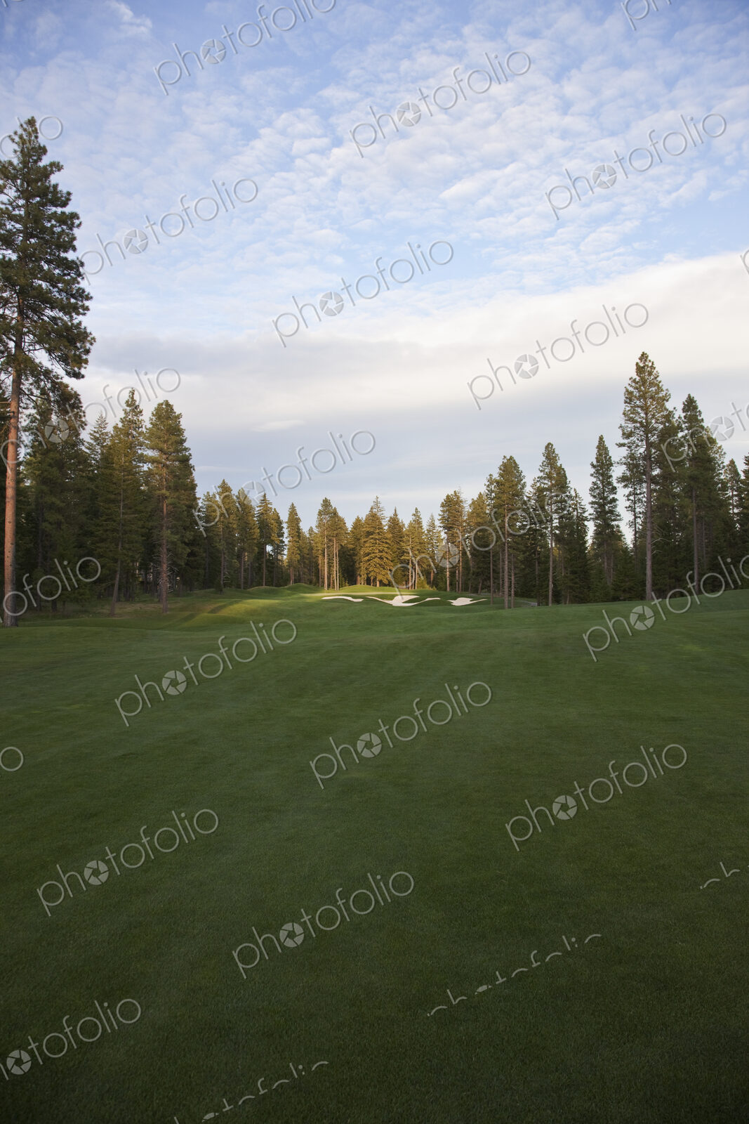 Golf course with bunker and green and trees.